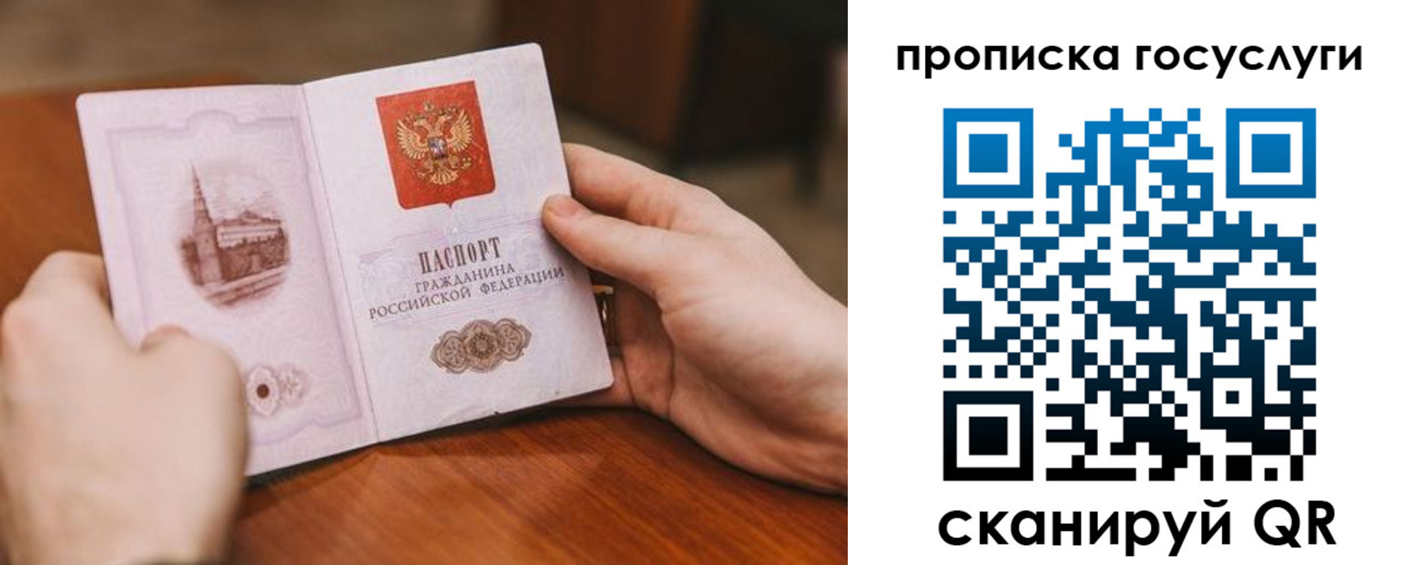 прописка ребенка в Советске